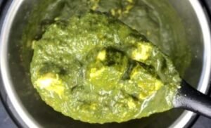 Instant Pot Palak Paneer Recipe